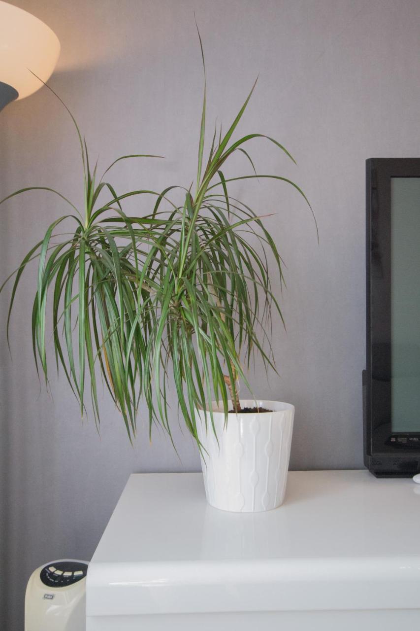 Spot'In - Dijon Milsand Apartment ภายนอก รูปภาพ